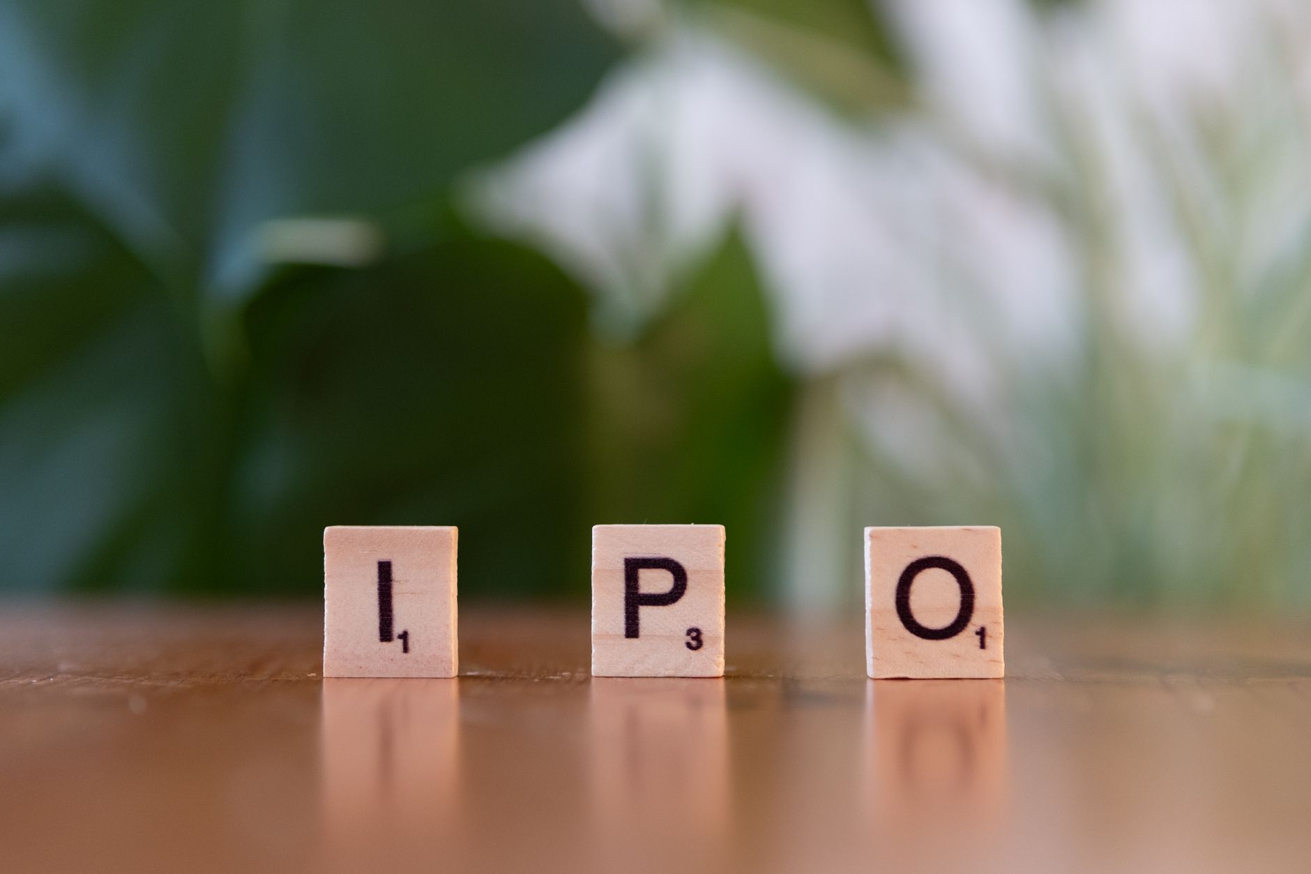 Is Anthropic IPO Risk the Worst for AI Models?